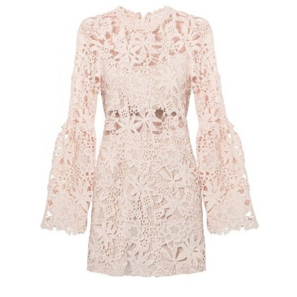 Endless Rose Cutout Lace Dress